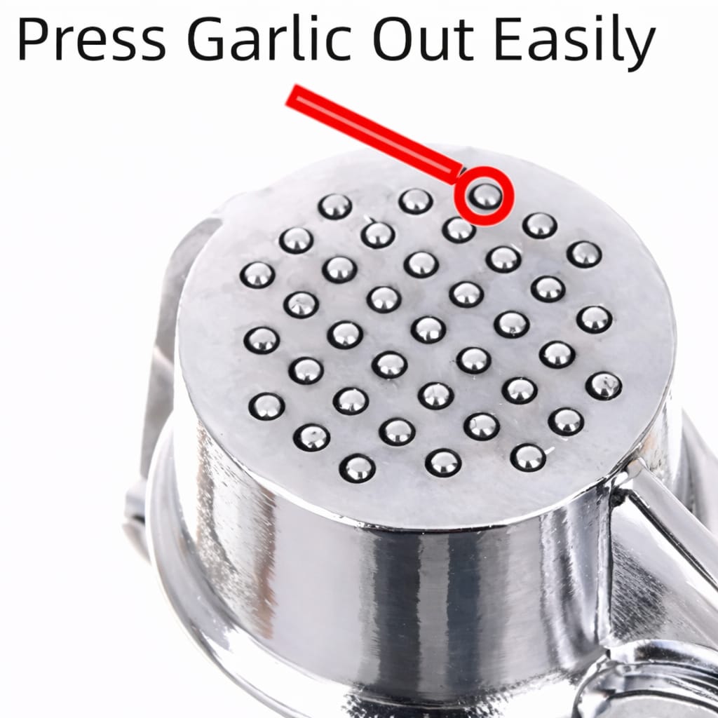 Stainless Steel Garlic Crusher | Manual Garlic Press Tool