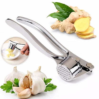 Stainless Steel Garlic Crusher | Manual Garlic Press Tool