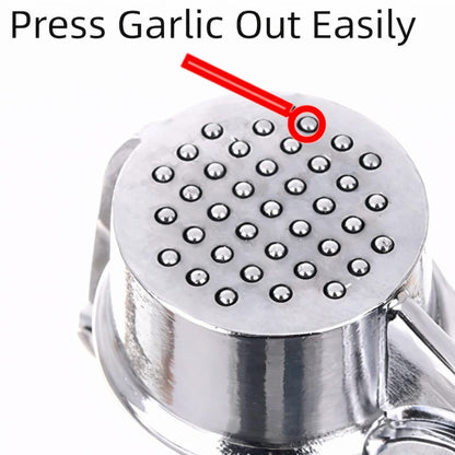 Stainless Steel Garlic Crusher | Manual Garlic Press Tool